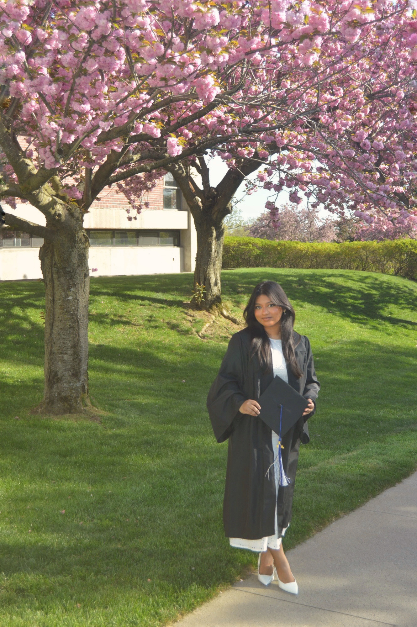 Brandeis grad