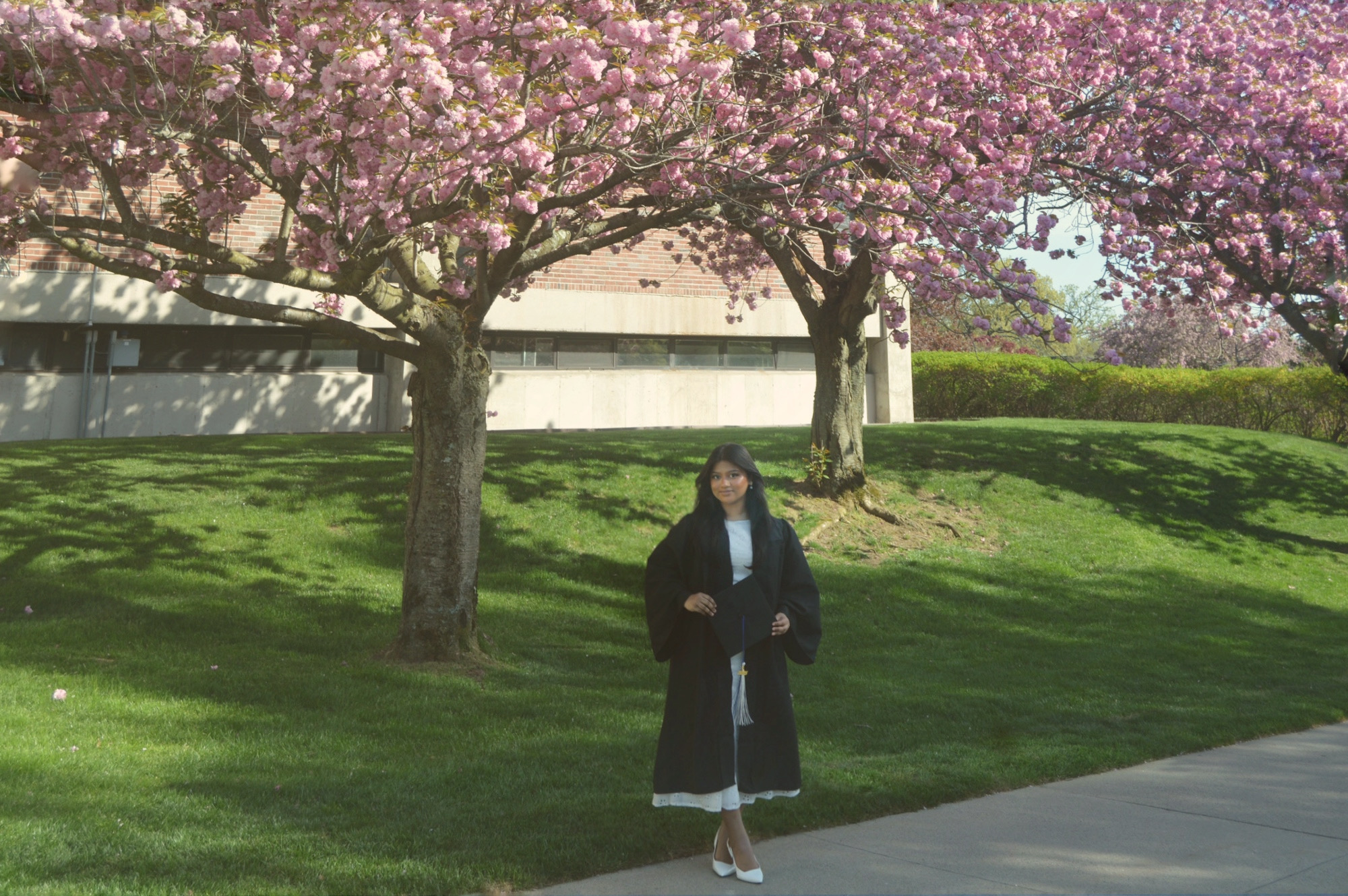 Grad